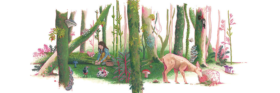 Loreto 01 - Loreto Salinas.jpg