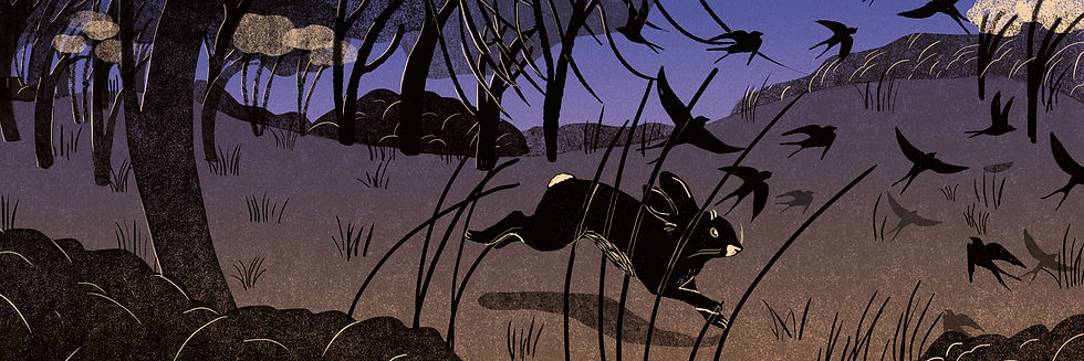 elisa_banner - Elisa Monsalve.jpg