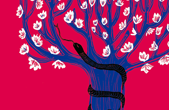 arbol_andrea - andrea franco navarrte.jpeg