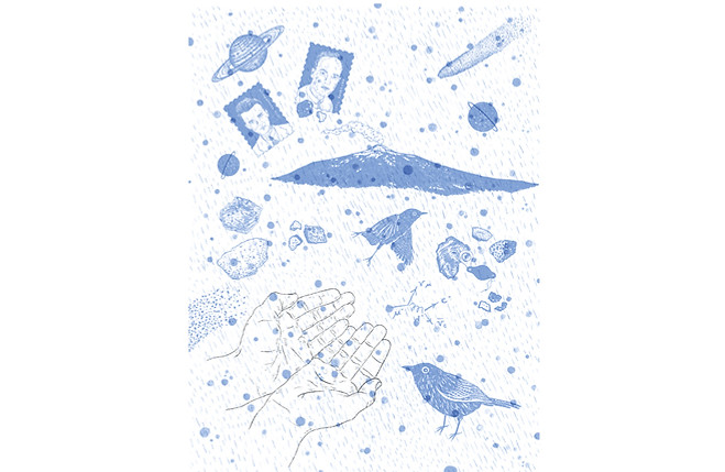 Ilustración libro PartĆculas_Silvia Lazzarino - Silvia Lazzarino Binelli_1.jpg