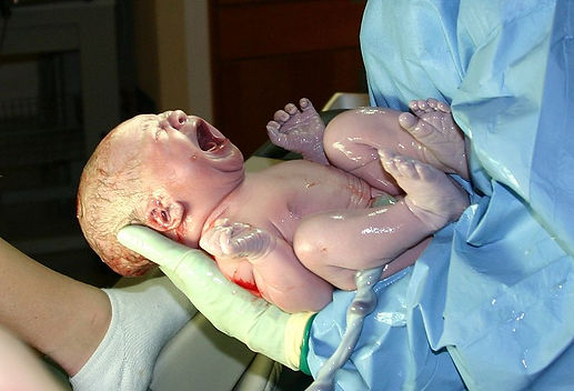 A newborn human, shown here screaming into the void of a seemingly meaningless existence even as he yearns desperately for the slightest sense of connection to something greater than himself