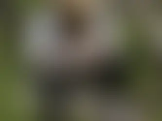 Amish Cosmos Pushes Limits of Whittling Technology