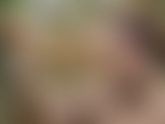 Bayer Partners with Crumbl Cookies for New Line of Roundup® Products