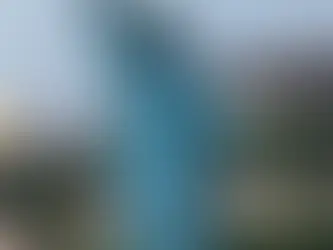 White House Announces Major Liberty Island Renovation Project Update