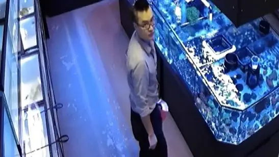 Do It Boy Fred Farmer, shown here caught on camera at a Jacksonville aquarium