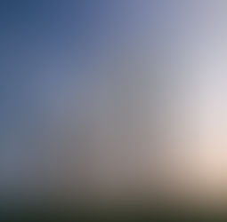 Zyon Grand (Full Analysis)