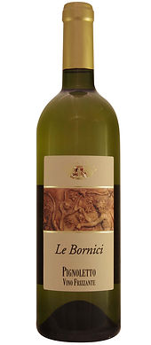 BORNICI CORRETTA.jpg