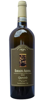 QUERCIOLA LILO VRS.jpg