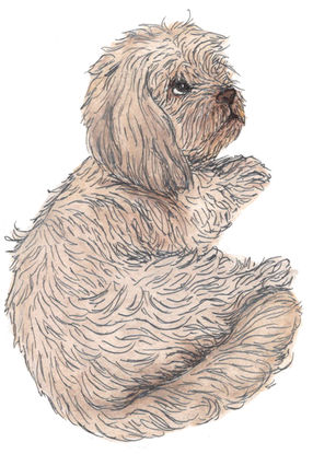 Aquarellillustration Hund