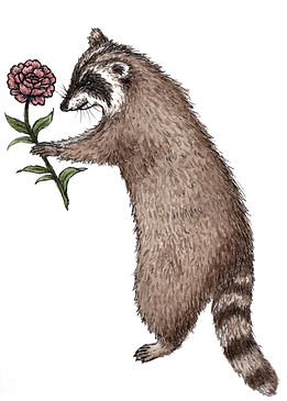 Waschbär mit Blume Aquarellillustration