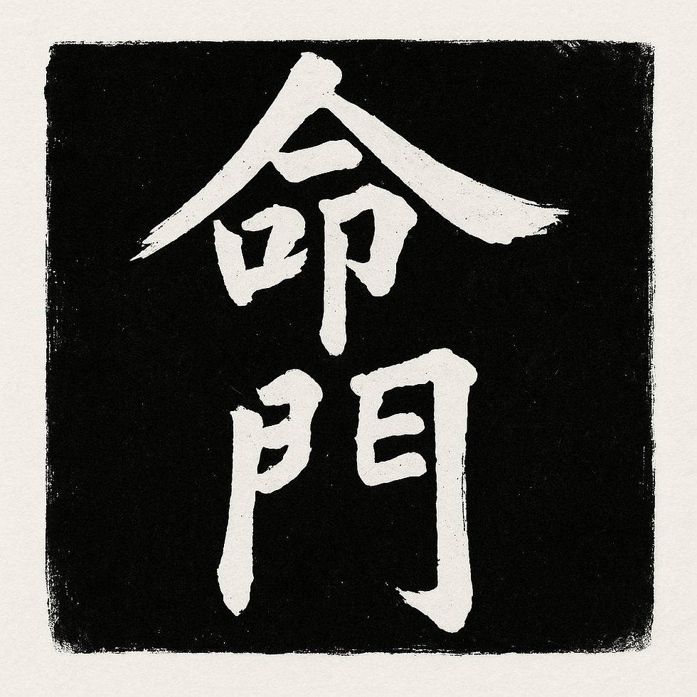 שער לחיים \ ייעוד \ MING MEN