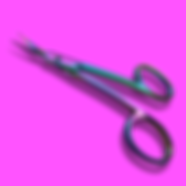 IMG_3827.PNG