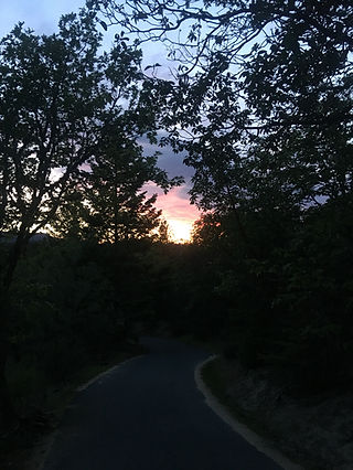 image2-1.jpeg