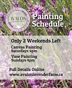 Avalon Lavender .jpg