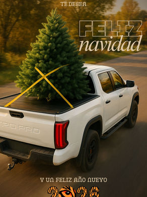 newsletter safari accesorios diciembre 2025