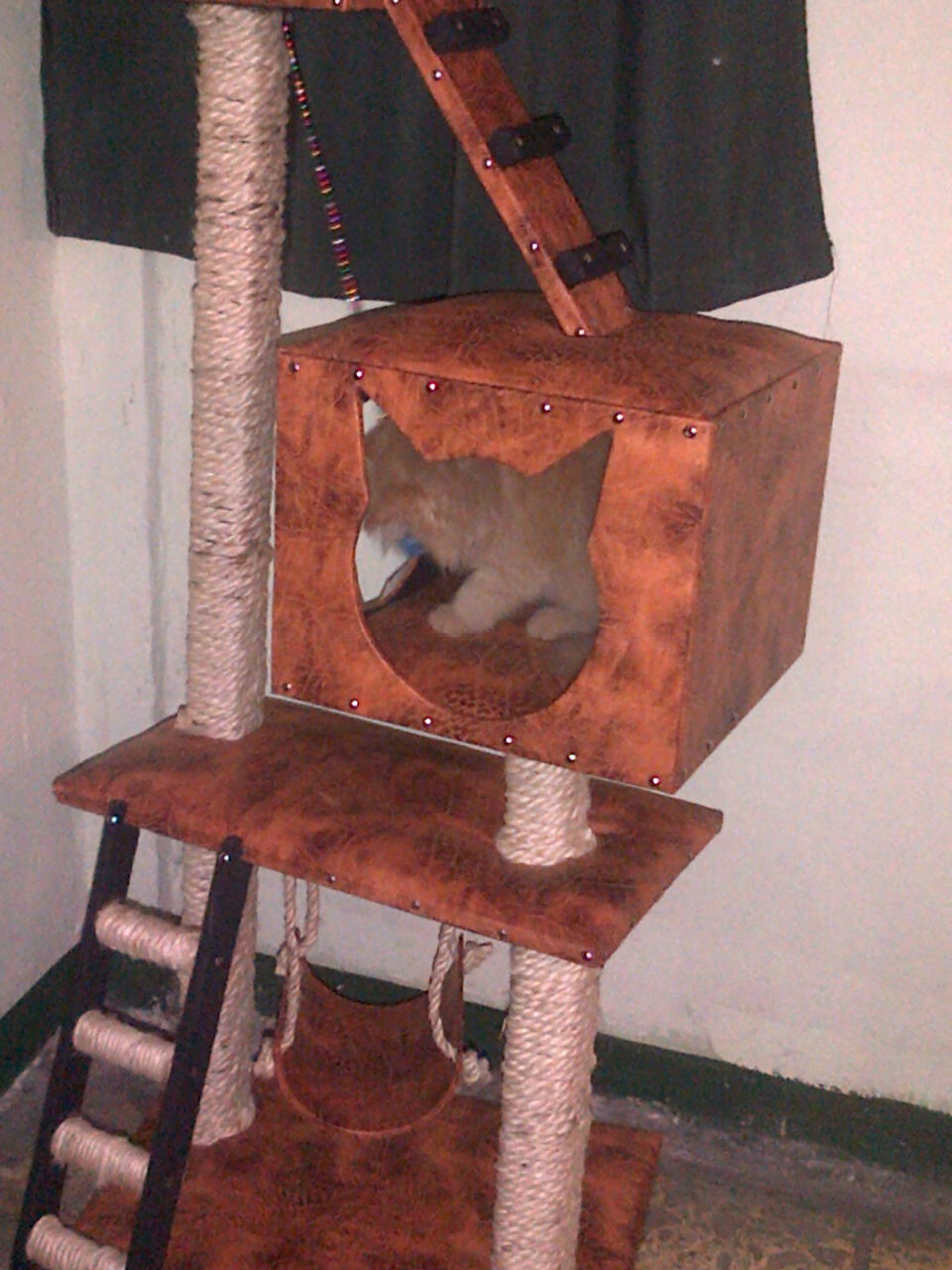 Miniatura: Casa del Àrbol