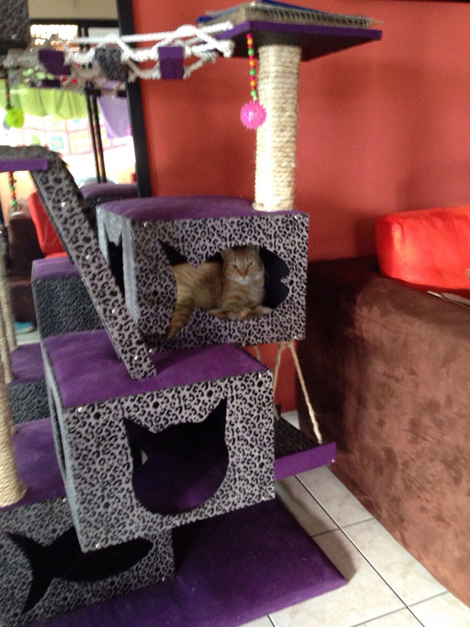 Miniatura: Laberinto FULL