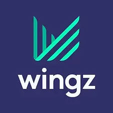 wingz.webp