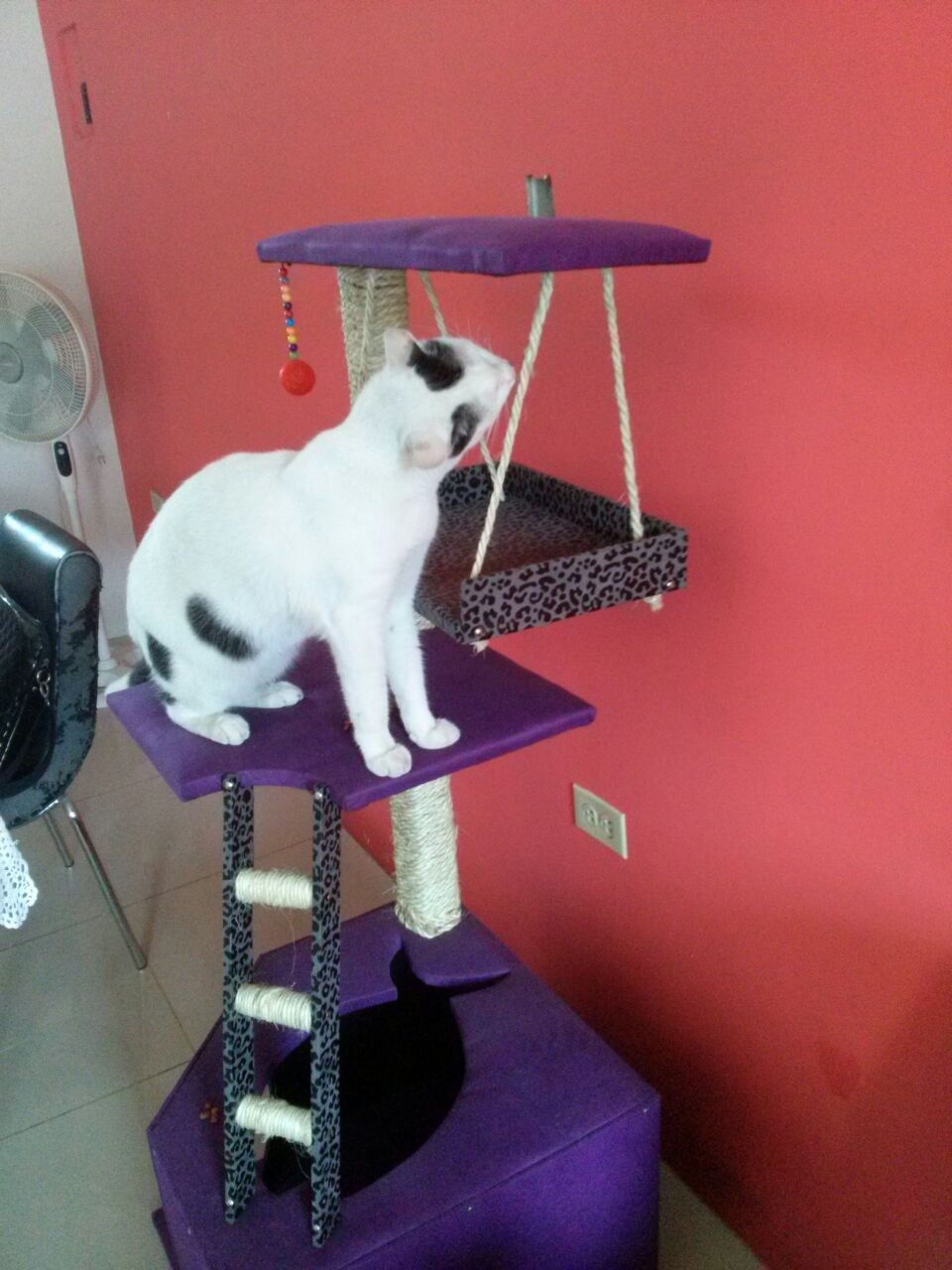 Miniatura: El Faro Large