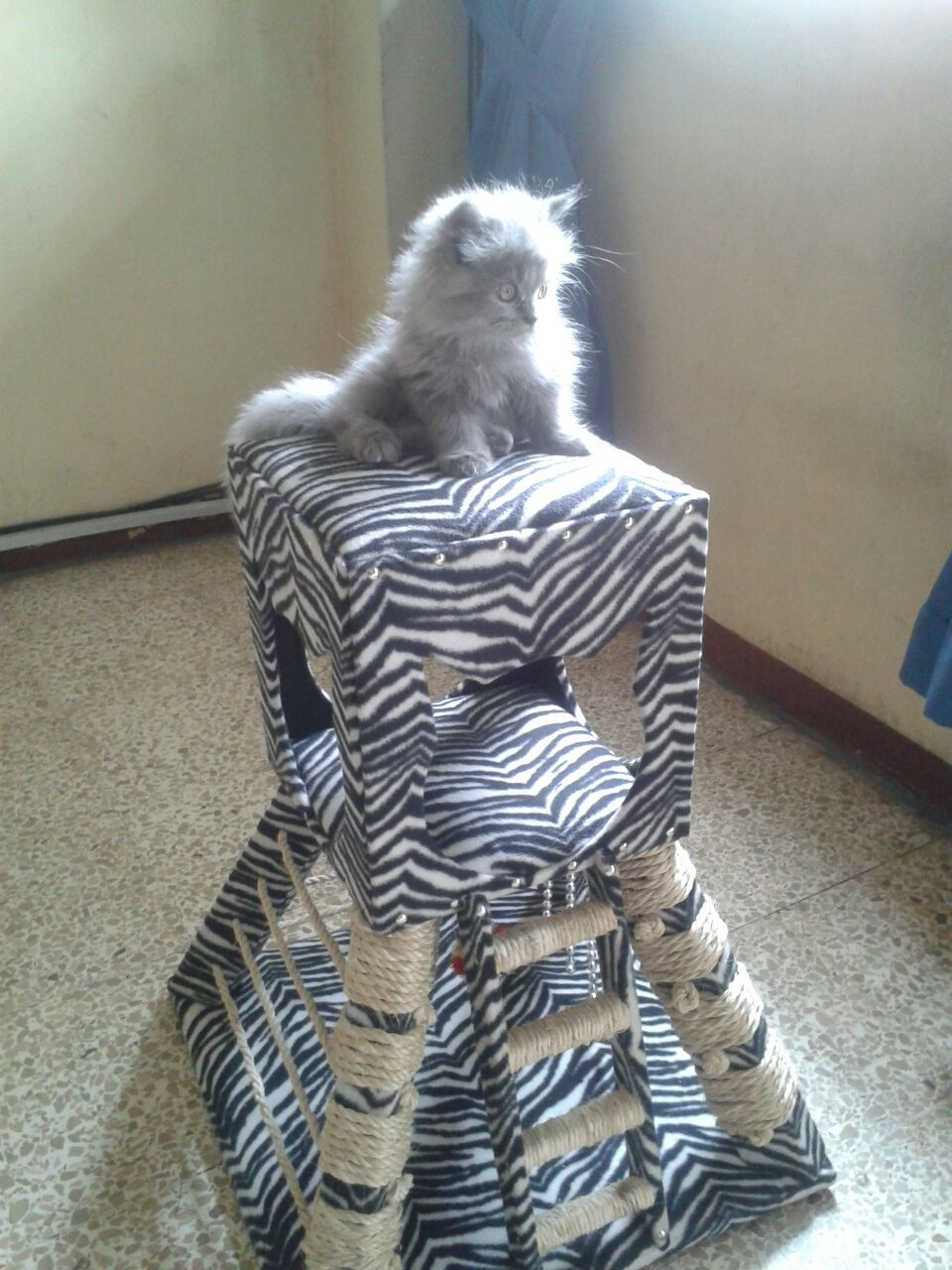 Miniatura: Esfinge Felino