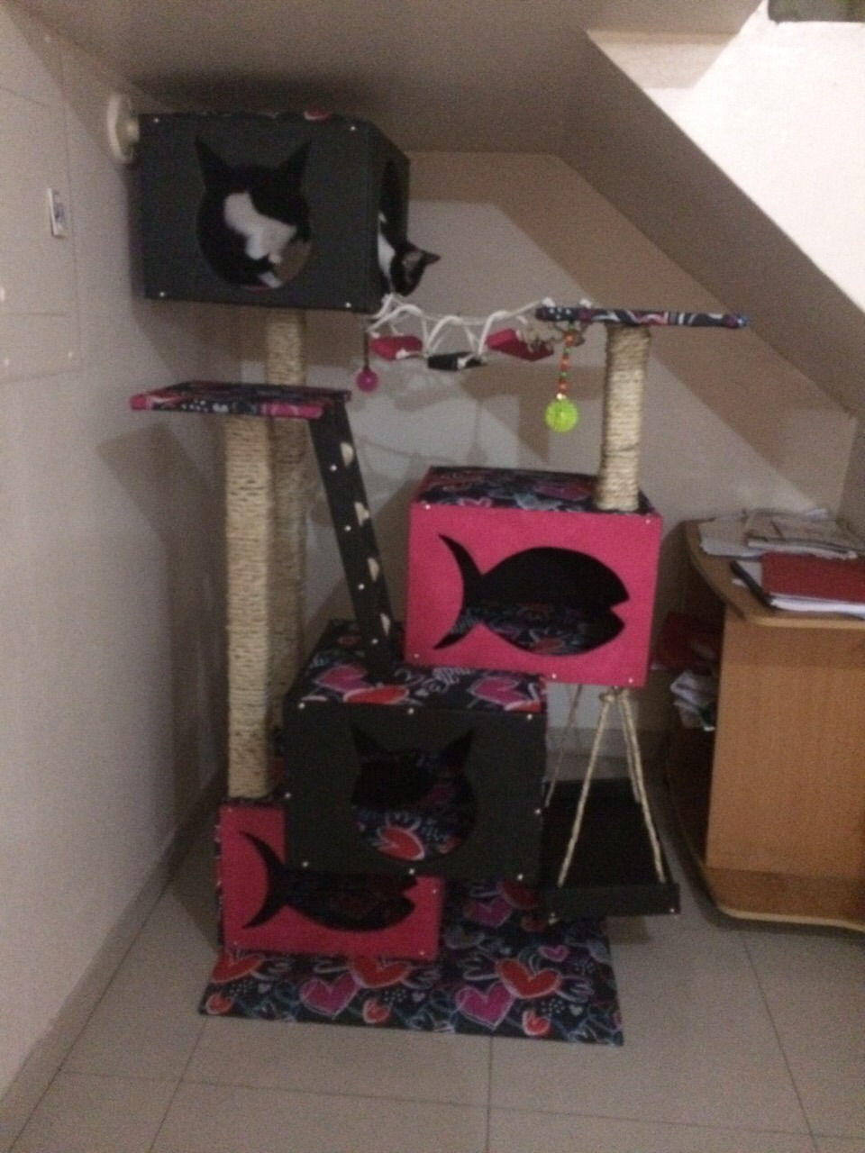 Miniatura: Laberinto Full