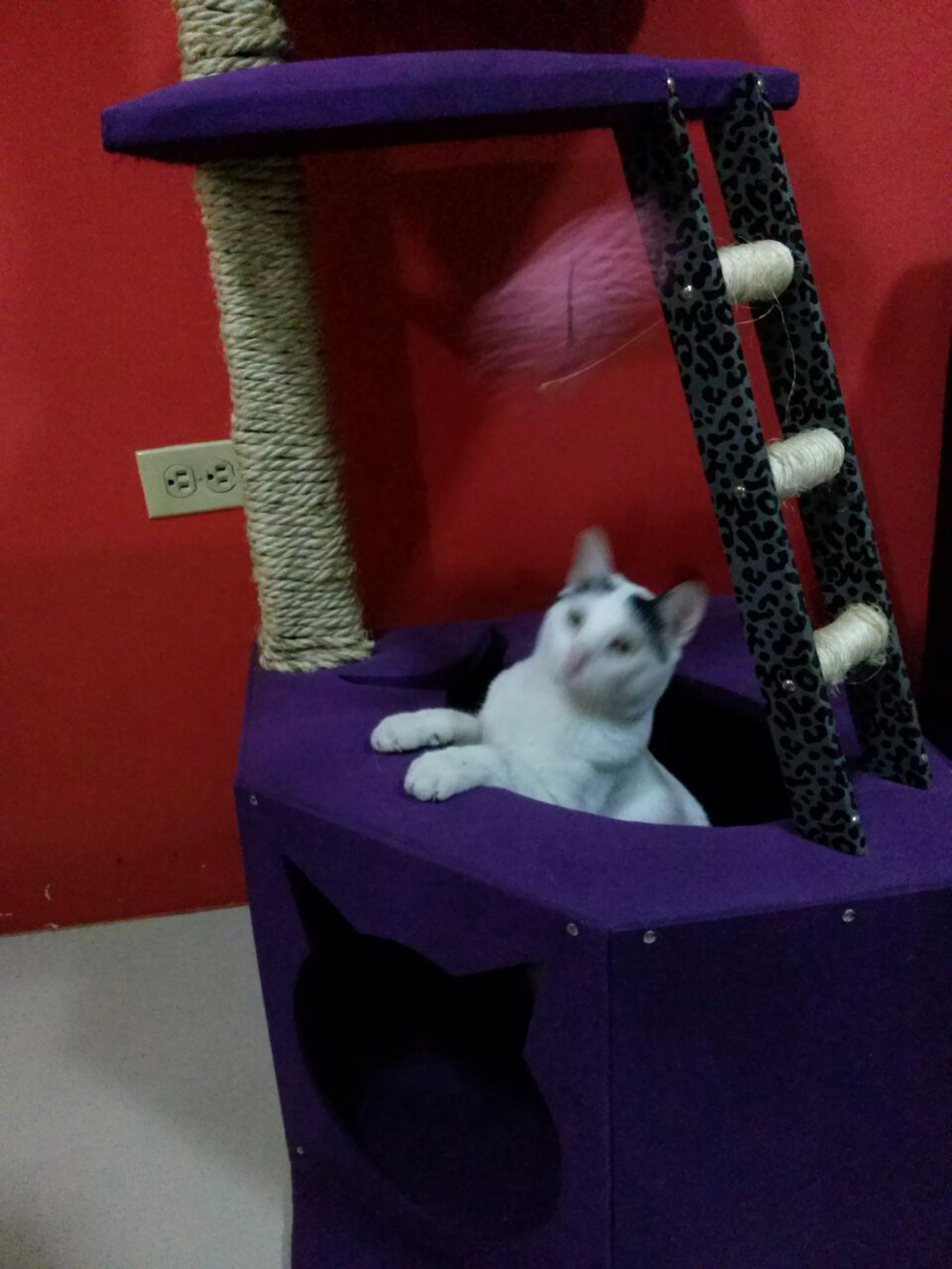 Miniatura: El Faro Large