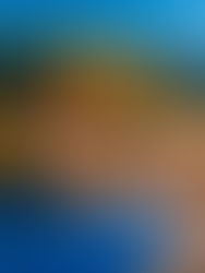 Top 5 Nature Beauty Spots in Wales