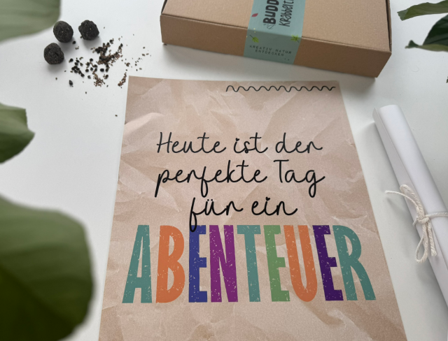 Miniaturbild: BUDDELBOX "Krabbeltiere"