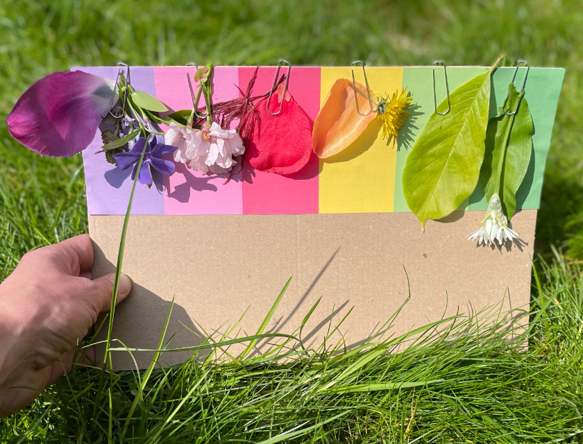Mit Kindern die Farben des Sommers sammeln - eine tolle Aktivität für die Sommerferien