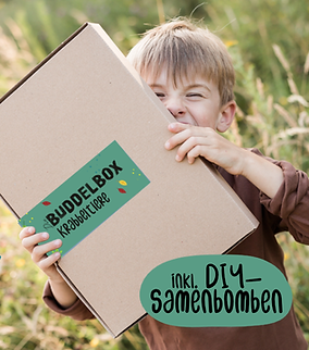 BUDDELBOX "Krabbeltiere"