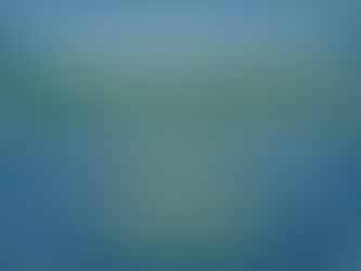 Down Ballot Day Part 2