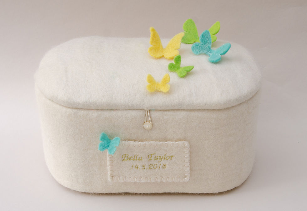 Colourful Butterflies