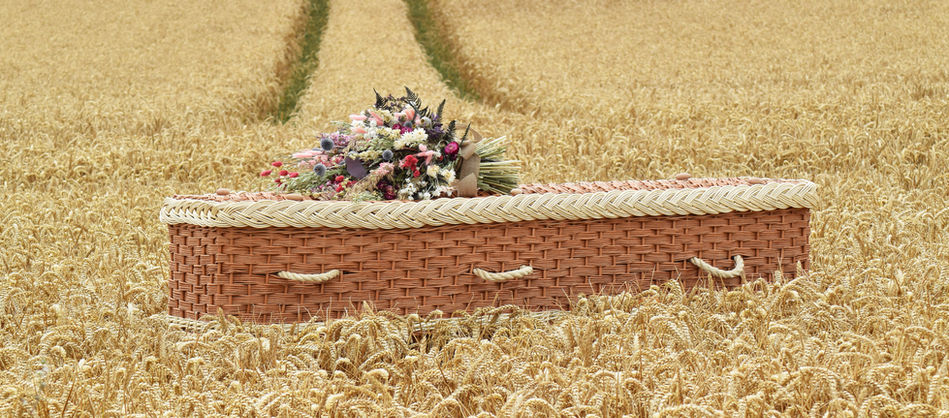 Holly Lyon-Hawk Holistic Funeral Director Kent EWT eco2 Cornfield.jpg