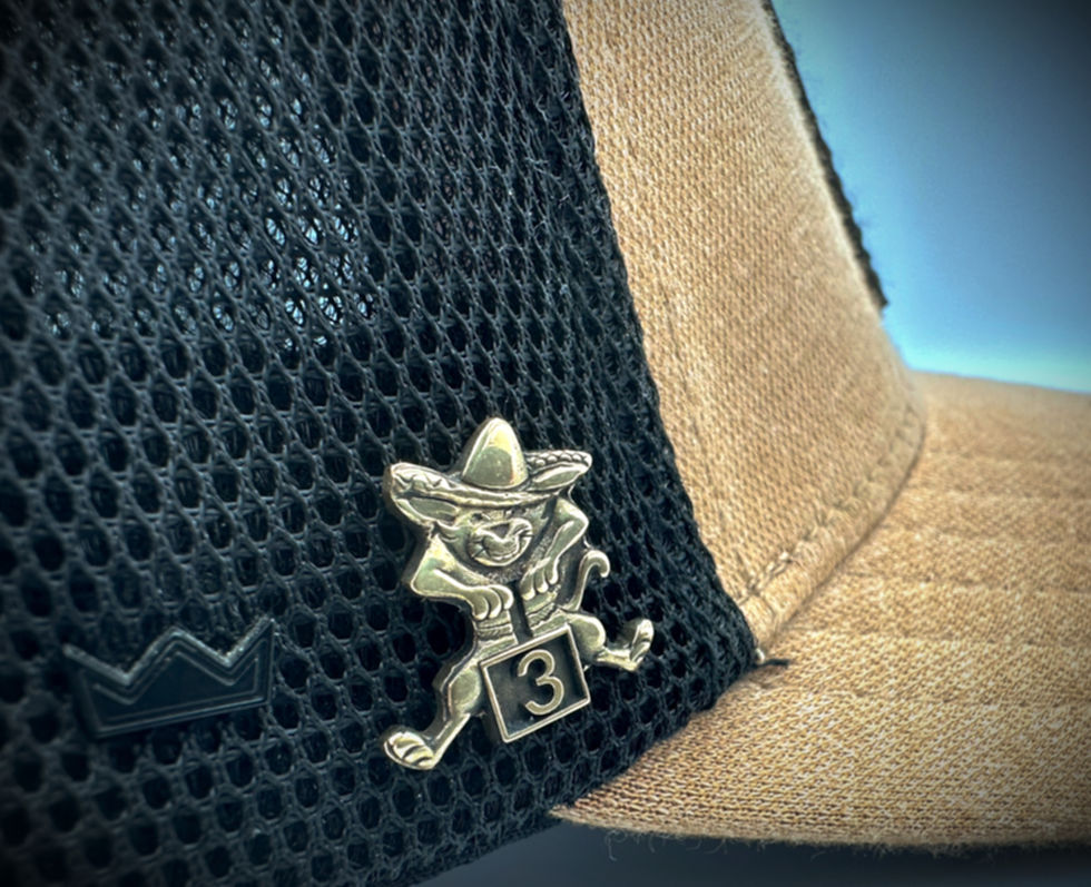 Thumbnail: 3 Field Top Cat Pin