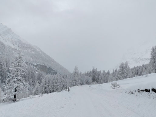 Roberto Bonfanti: gli ascolti di gennaio 2026
