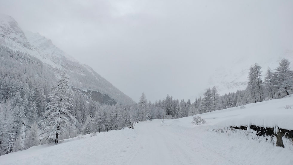 Roberto Bonfanti: gli ascolti di gennaio 2026