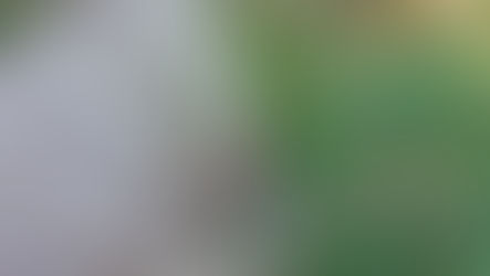 Roberto Bonfanti: gli ascolti di novembre 2025