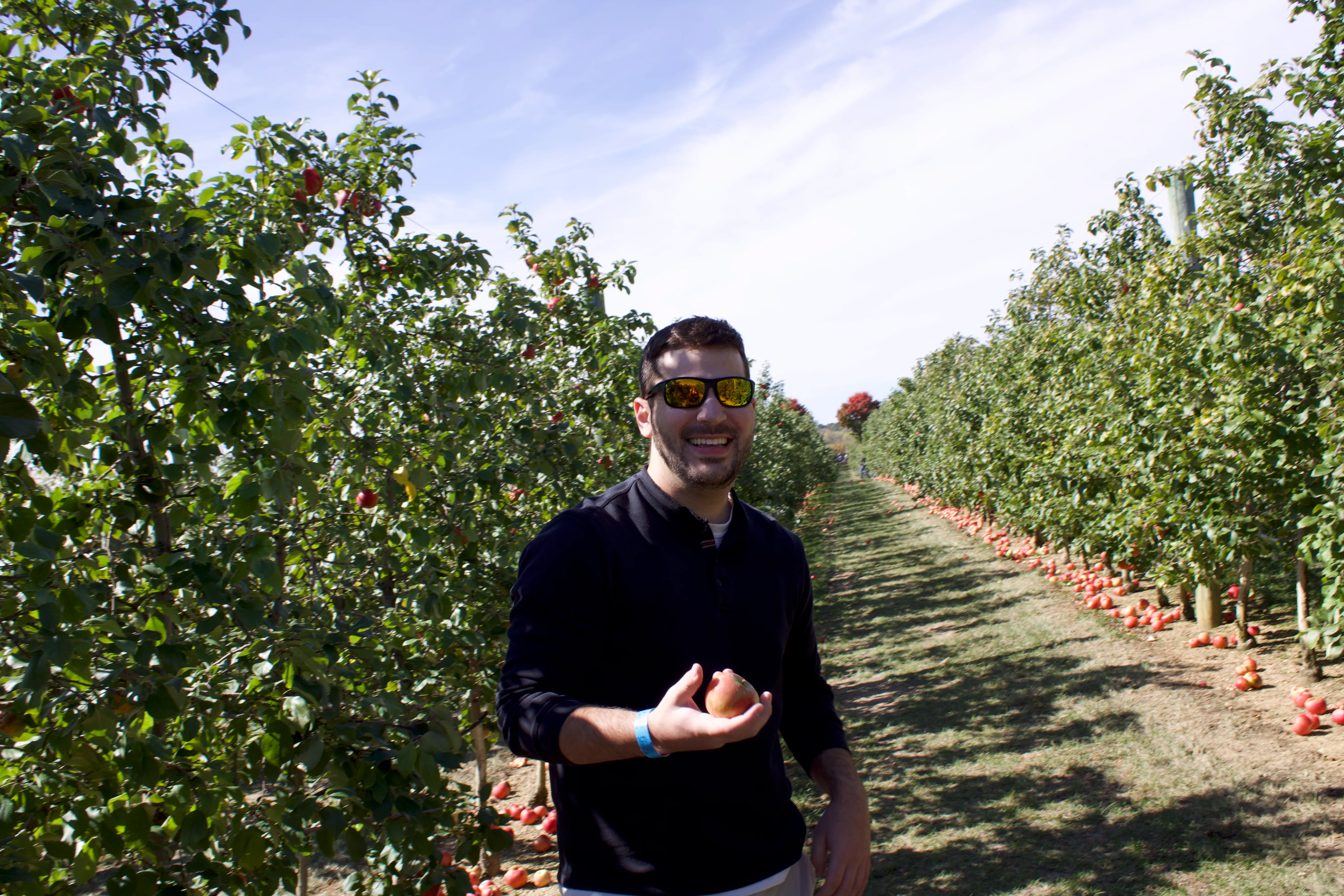 JasonAppleOrchard.webp