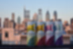 DSC_0321.JPG
