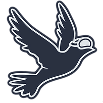 birdwithgoggles.png