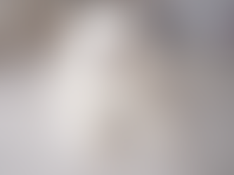 All You Need To Know About Pet-Friendly Flooring