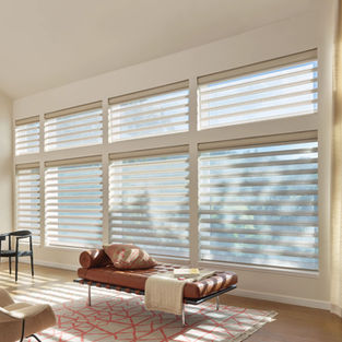 Hunter Douglas Sheers and Shading