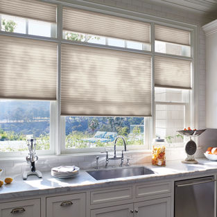 Hunter Douglas Cellar Shades