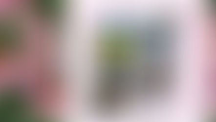 Catching Up with Friends & Other Things