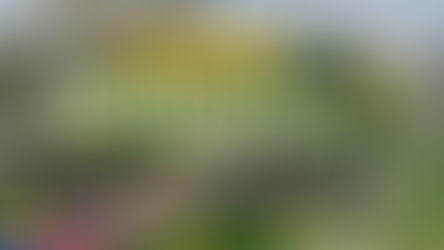 The Philippine Biodome | Manila Ocean Park (Philippines)