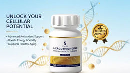 2026 Philippines Ergothioneine Ranking: Deep Analysis of Cellular Anti-Aging and Photo-Damage Repair