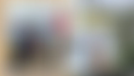 Sydney Travel Diary | Memento Vivere | Travel & Lifestyle Blog Philippines (Asia)