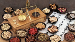 San Pablo Women Revitalize Herbal Medicine to Lure Tourists