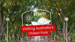 Hyde Park and St. Mary's Cathedral in Sydney