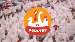 The Philippines Increase Imports of European Poultry